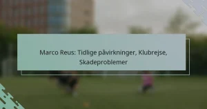 Marco Reus: Tidlige påvirkninger, Klubrejse, Skadeproblemer