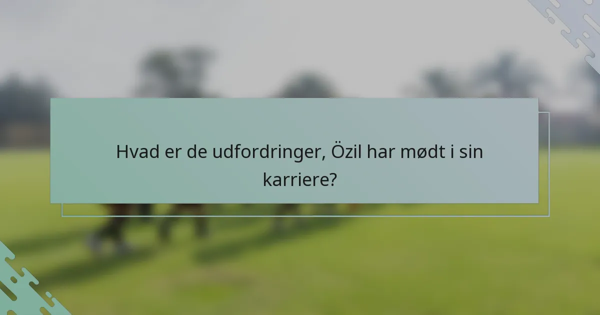 Hvad er de udfordringer, Özil har mødt i sin karriere?