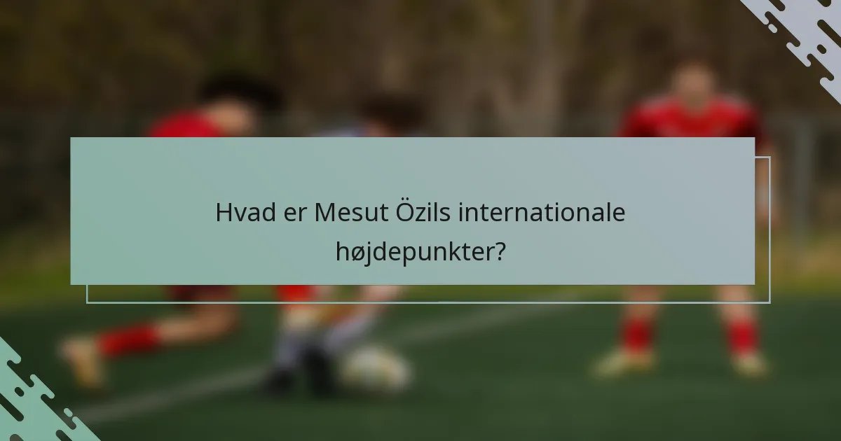 Hvad er Mesut Özils internationale højdepunkter?